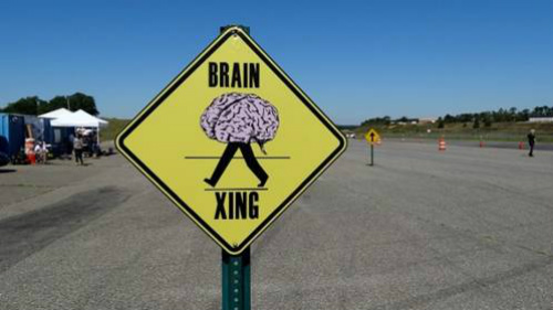Brain Games ImagemE