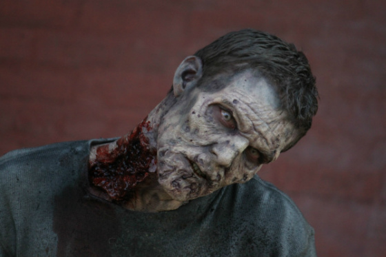 TWD T5 FOX HD 3