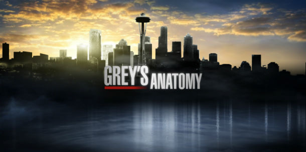 anatomia de grey