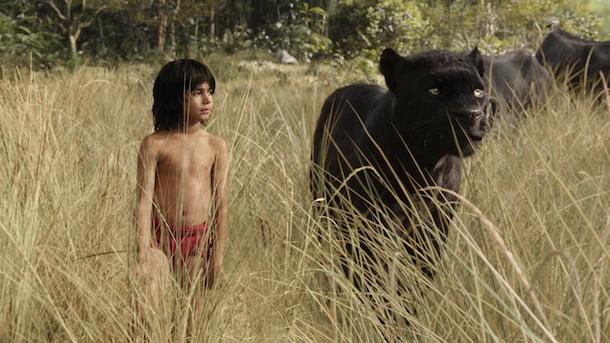 O Livro da Selva