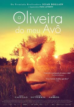 A Oliveira do Meu Avô