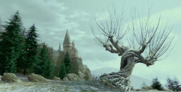 harry potter whomping willow