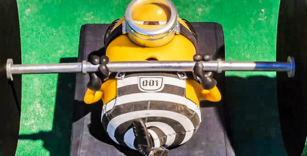 gru o mal disposto