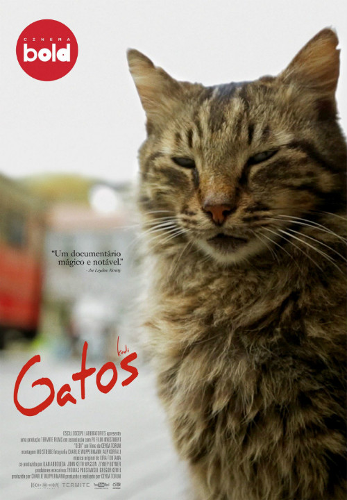 gatos