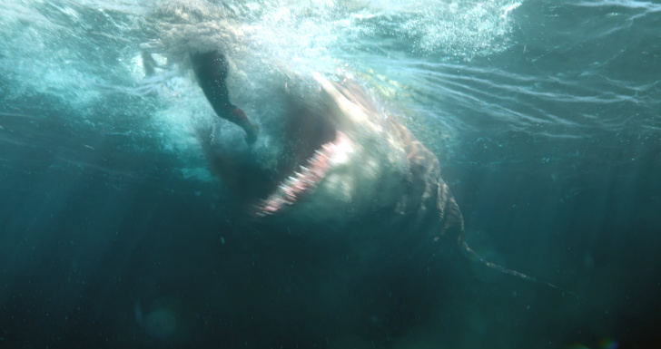 MEG: Tubarão Gigante