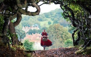 Into the Woods