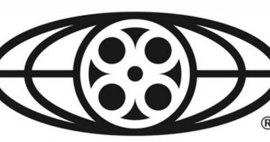 material pirateado torrents download ilegal