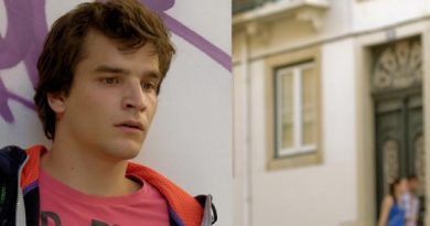 OS GATOS NÃO TÊM VERTIGENS