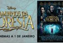 Caminhos da Floresta - Banner