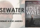 Rosewater rosewater_ae_pst