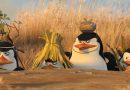 pinguins