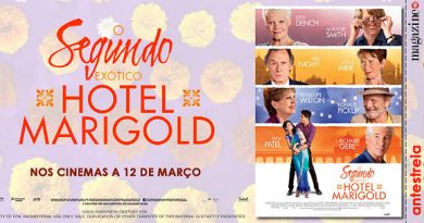 O Segundo Exótico Hotel Marigold segundo_marigold_ae_pst