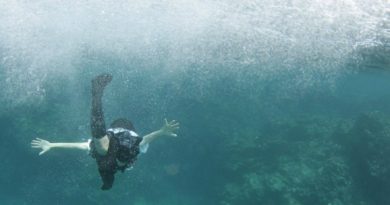 A Quietude da Água Imagem