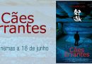Cães Errantes Passatempo