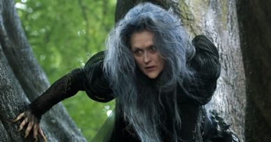 caminhos da floresta