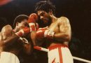 Hands of Stone