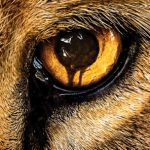 zoo