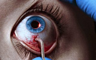 The Strain