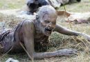 Fear The Walking Dead