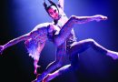 Cirque Du Soleil