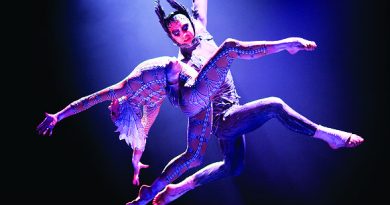 Cirque Du Soleil