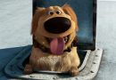 dug