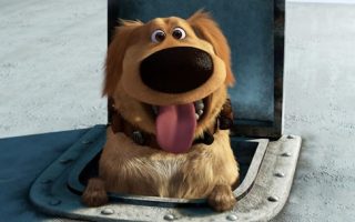 dug