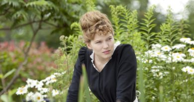 Diário de Uma Criada de Quarto LEFFEST