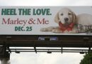 does the dog die?