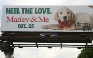 does the dog die?