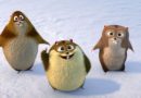 Norm of the North