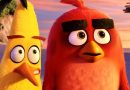 Angry Brids