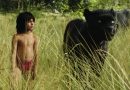 O Livro da Selva