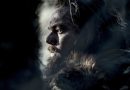 The Revenant