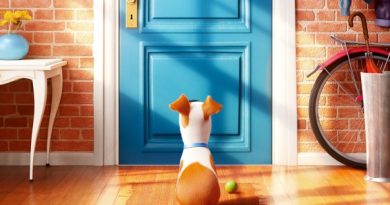 A quinta colaboração entre a Universal Pictures e a Ilumination Entertainment conta a vida secreta dos nossos bichos