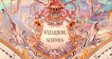 harry potter e outras escolas de magia