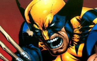 Wolverine