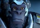 overwatch