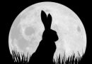 Watership Down