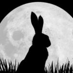 Watership Down