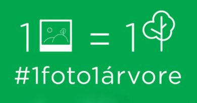 1 foto 1 árvore passatempo campanha Picture This AXN