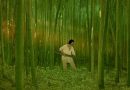 The Red Turtle