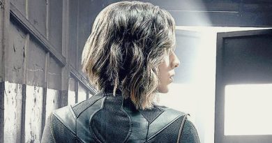 Agentes da S.H.I.E.L.D., Agents of Shield critica