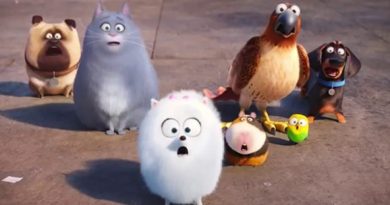 A Vida Secreta dos Nossos Bichos - MHD