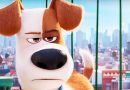 Box Office