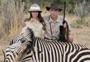 safari ulrich seidl artekino