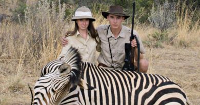 safari ulrich seidl artekino