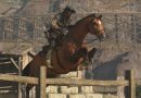 momentos equestres