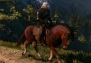 momentos equestres