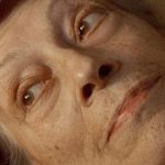 les vies de therese doclisboa